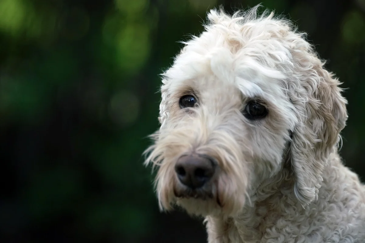 Normes et certifications : lesquelles choisir (sans se perdre) ?