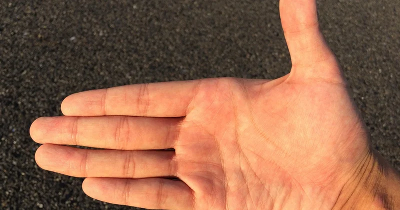 Maintenance et SAV : l'étape que tout le monde oublie